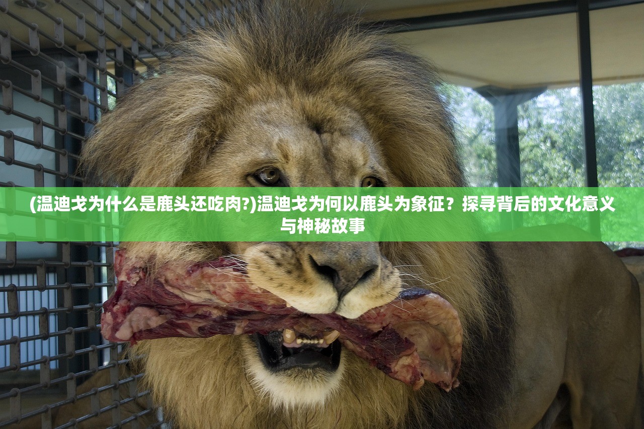 (天地鉴歌词是什么意思)天地鉴的意思及其深层内涵解析