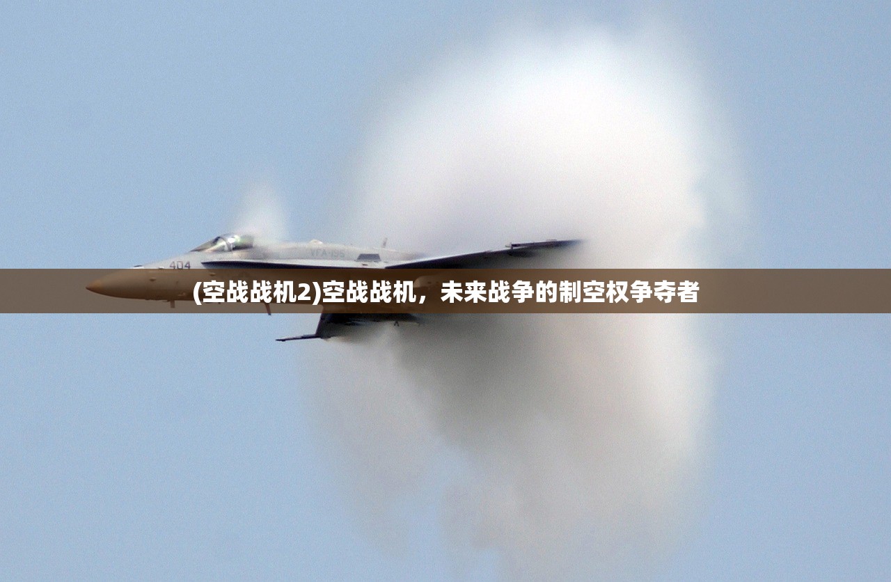 (空战战机2)空战战机,未来战争的制空权争夺者 (空战战机2)空战战机,未来战争的制空权争夺者
