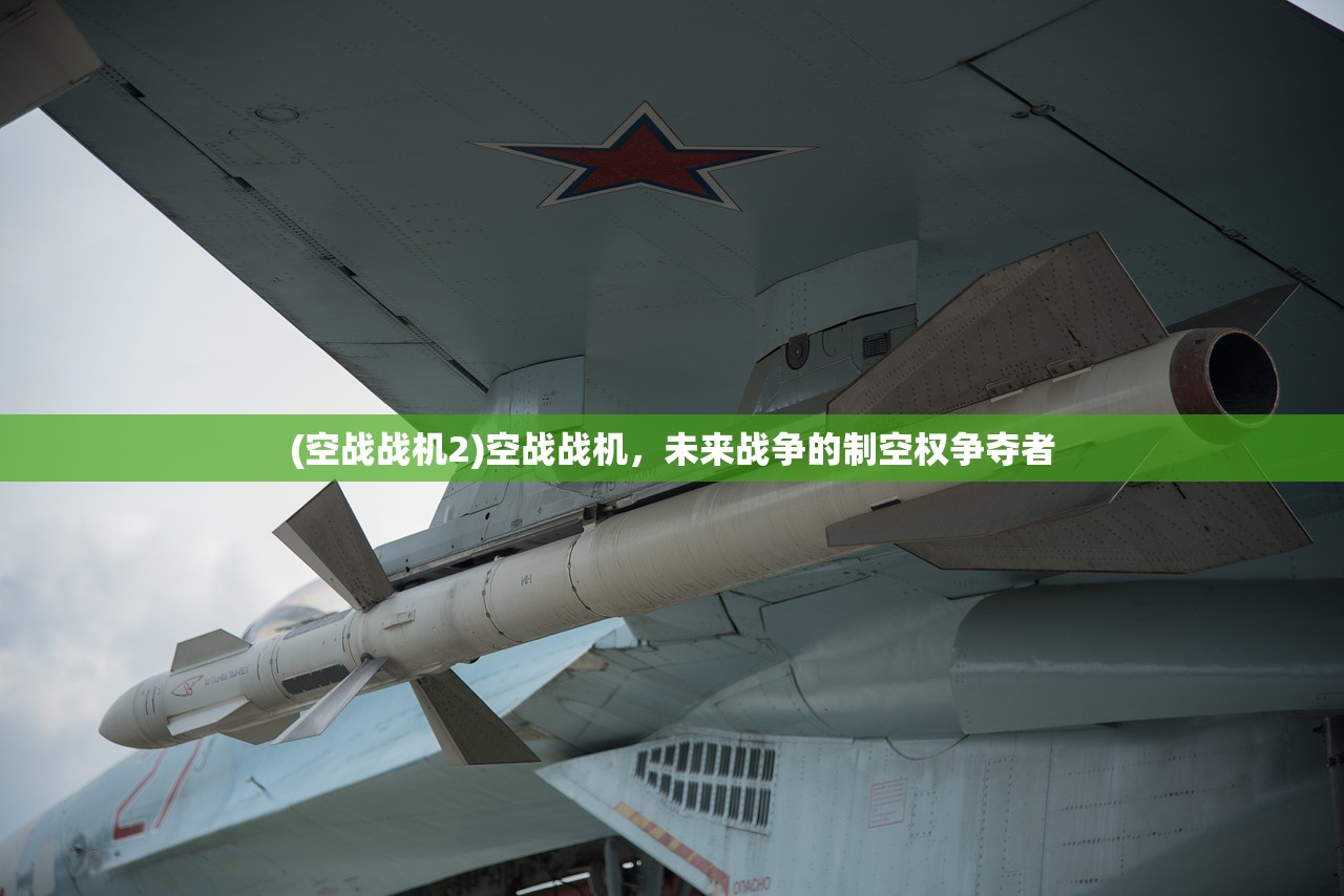 (空战战机2)空战战机,未来战争的制空权争夺者 (空战战机2)空战战机,未来战争的制空权争夺者
