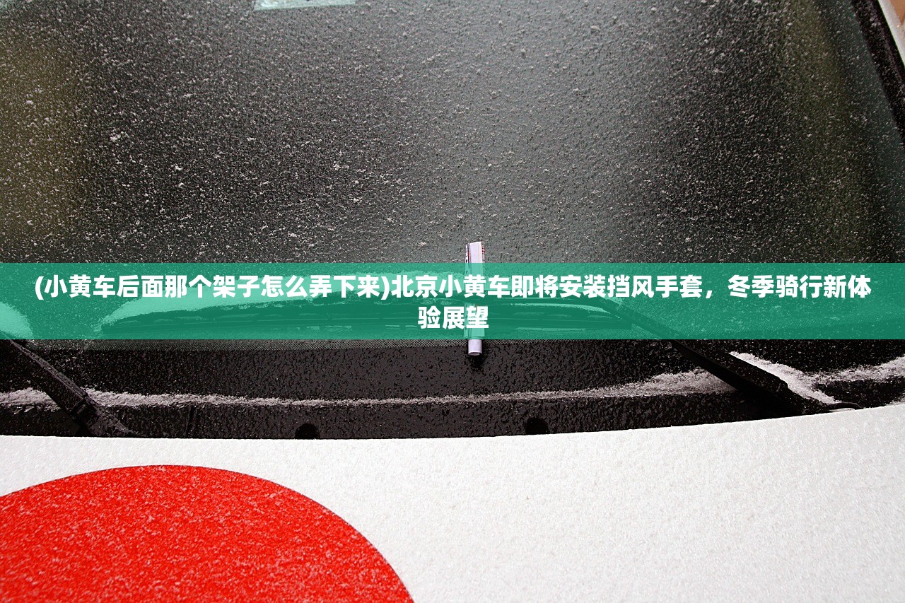 (小黄车后面那个架子怎么弄下来)北京小黄车即将安装挡风手套,冬季骑行新体验展望 (小黄车后面那个架子怎么弄下来)北京小黄车即将安装挡风手套,冬季骑行新体验展望