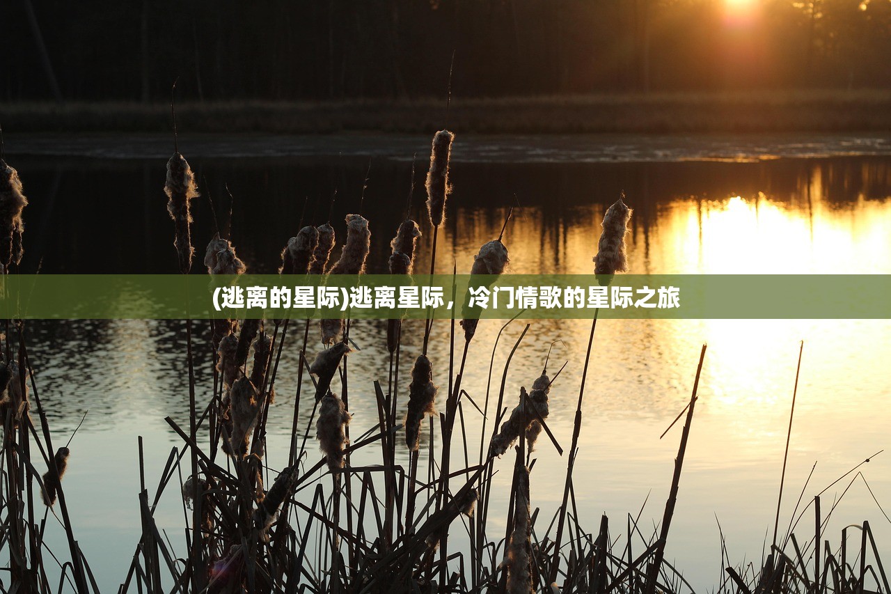 (逃离的星际)逃离星际,冷门情歌的星际之旅 (逃离的星际)逃离星际,冷门情歌的星际之旅