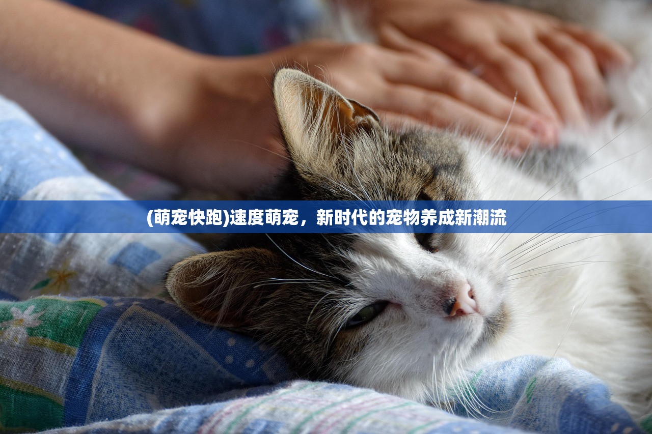 (绯雨骑士团h5官网)绯雨骑士团游戏在哪里玩？全面解析你的游戏之旅