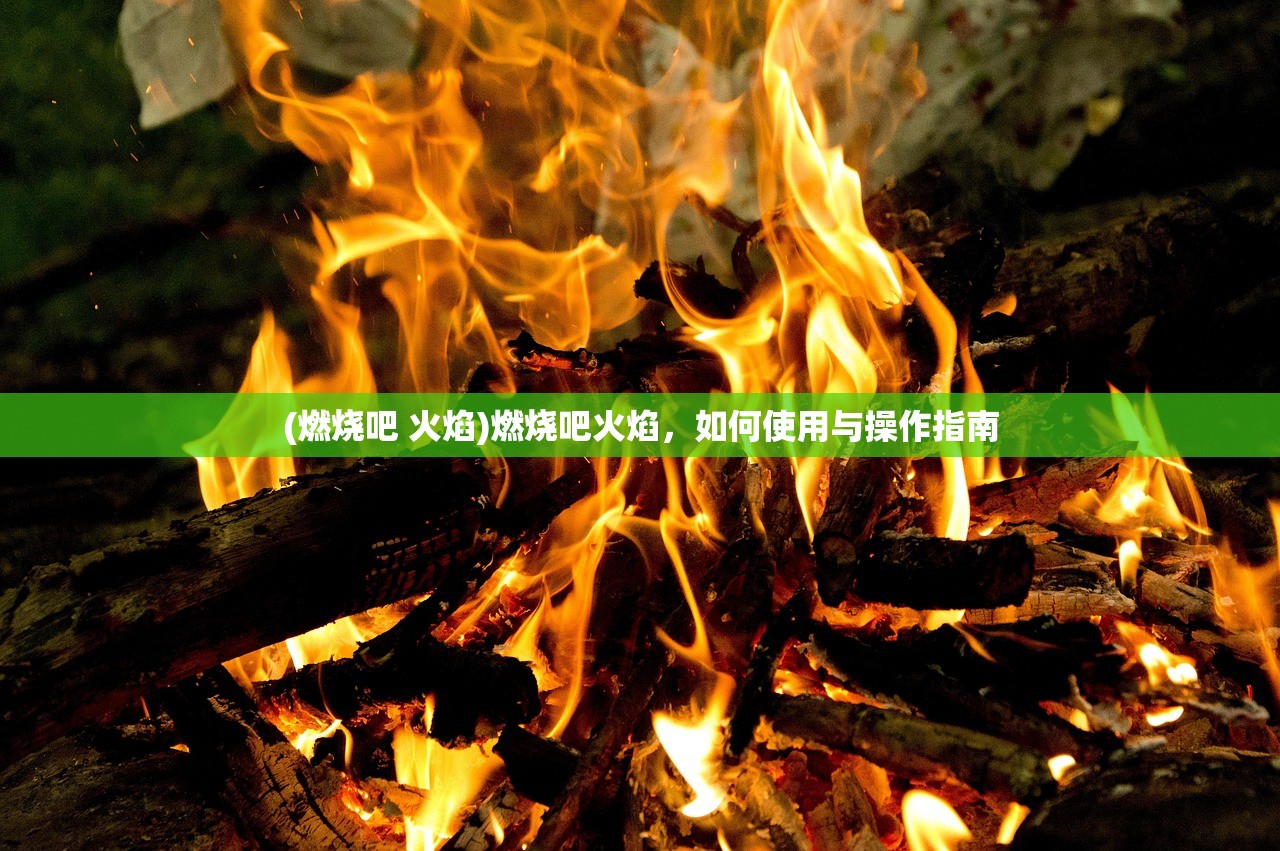 (燃烧吧 火焰)燃烧吧火焰，如何使用与操作指南
