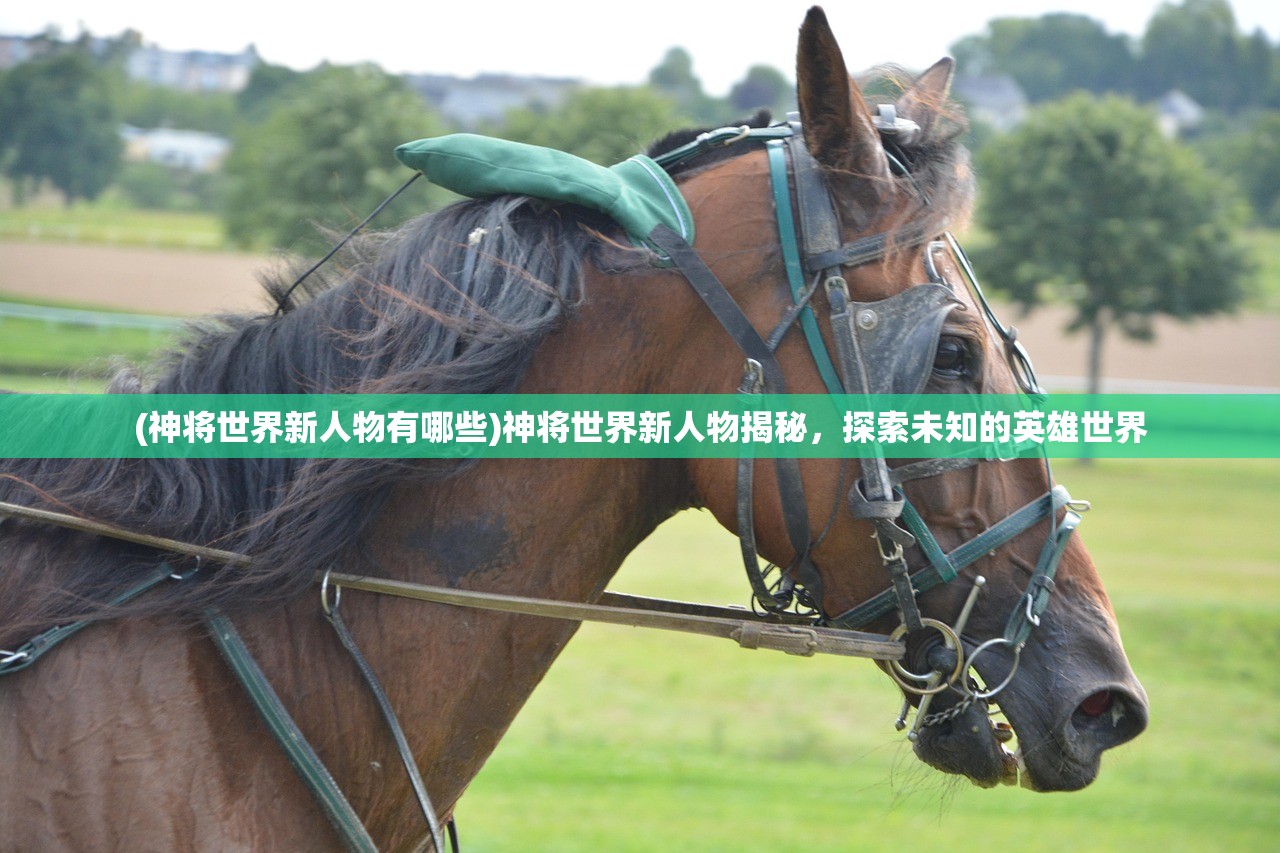 (神将世界新人物有哪些)神将世界新人物揭秘,探索未知的英雄世界 (神将世界新人物有哪些)神将世界新人物揭秘,探索未知的英雄世界