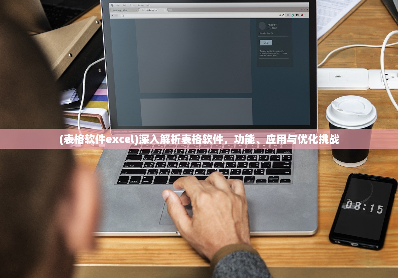 (表格软件excel)深入解析表格软件,功能、应用与优化挑战 (表格软件excel)深入解析表格软件,功能、应用与优化挑战