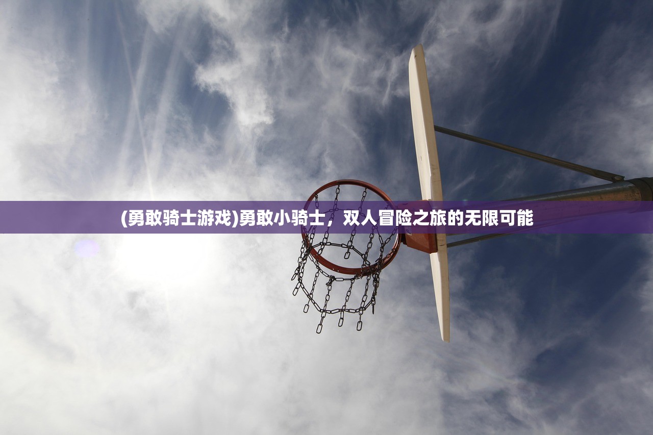 (勇敢骑士游戏)勇敢小骑士，双人冒险之旅的无限可能