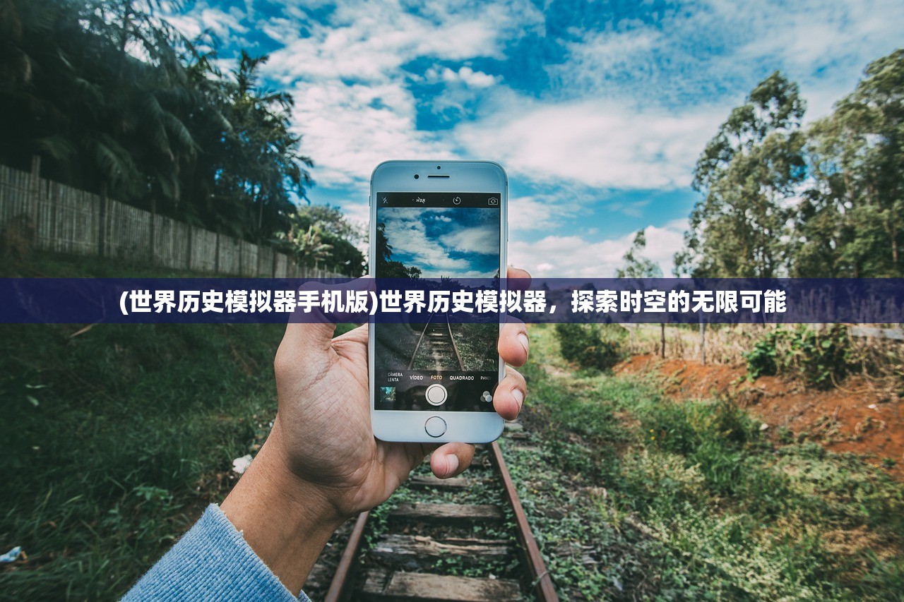 (梦想大航海单机版无需联网更新)梦想大航海单机版，航海梦想的独立之旅