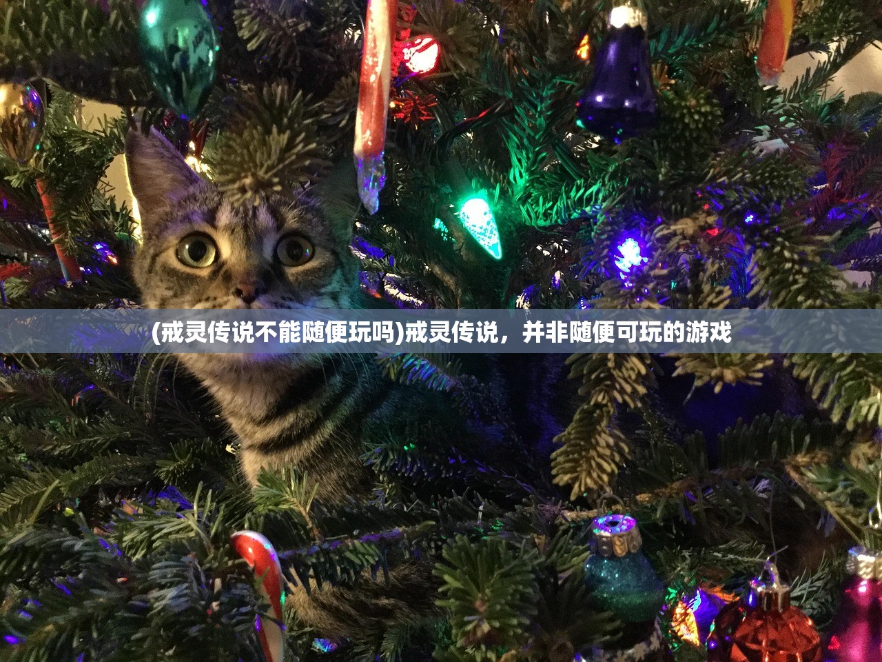 (逍遥九重天三界幻境攻略大全)逍遥九重天三界幻境攻略详解及常见问答