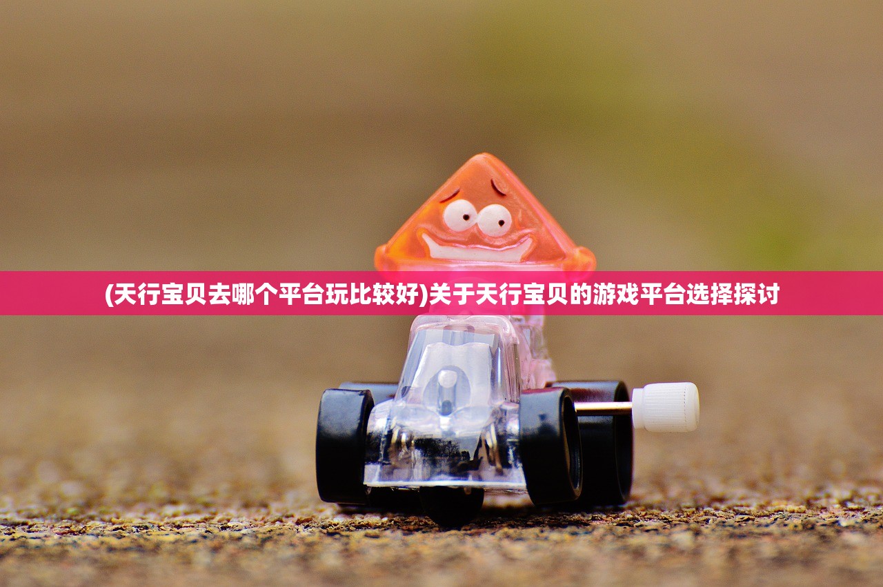 (天行道一般指什么生肖)天行道，一种理念与精神的探索