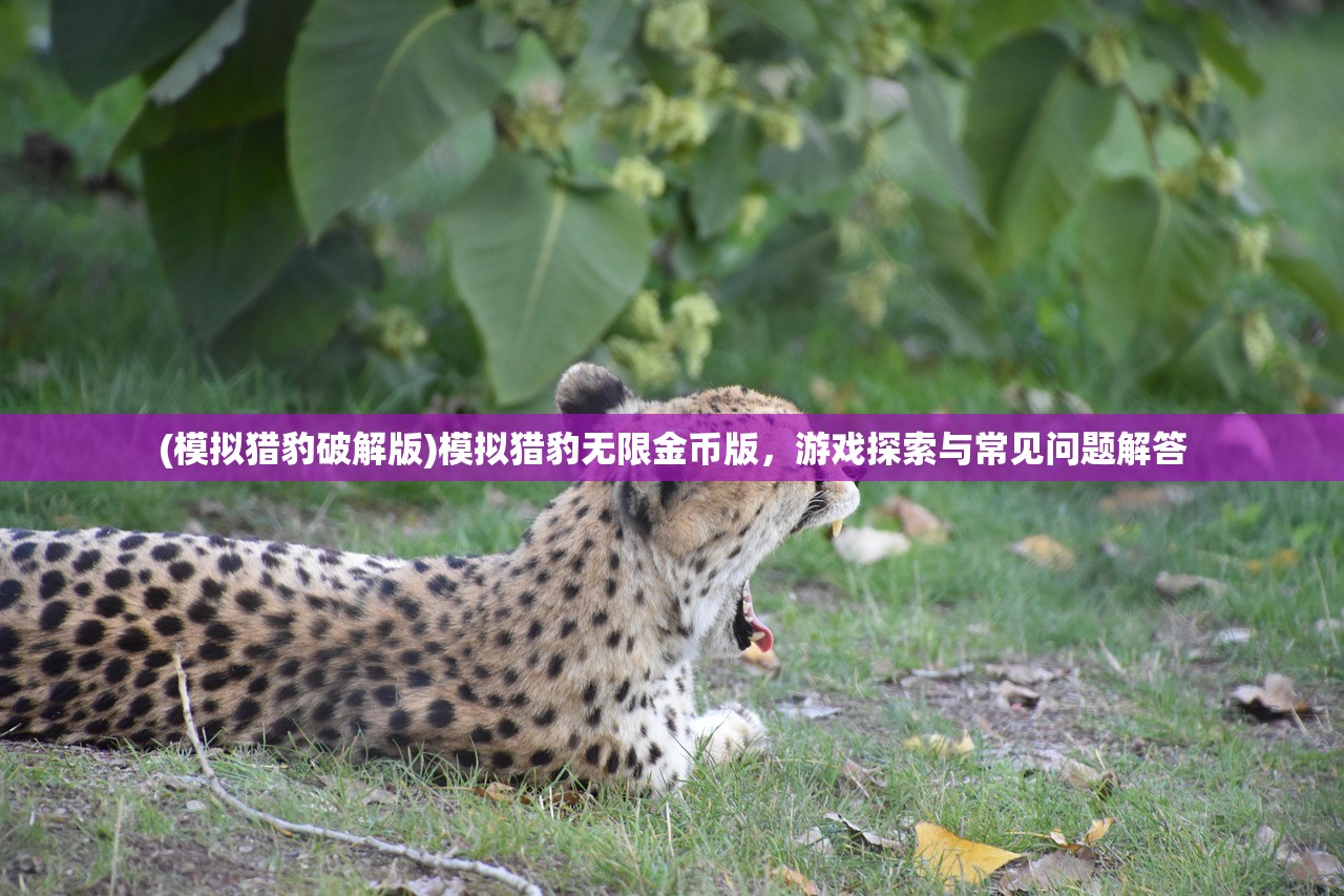 (巨像骑士团gg秒杀)巨像骑士团单机版,深入探索游戏的世界与特色 (巨像骑士团gg秒杀)巨像骑士团单机版,深入探索游戏的世界与特色
