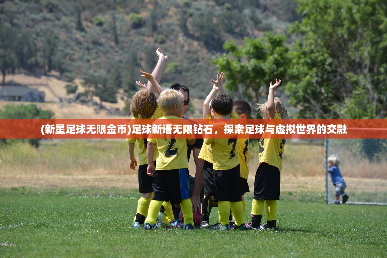 (新星足球无限金币)足球新语无限钻石,探索足球与虚拟世界的交融 (新星足球无限金币)足球新语无限钻石,探索足球与虚拟世界的交融