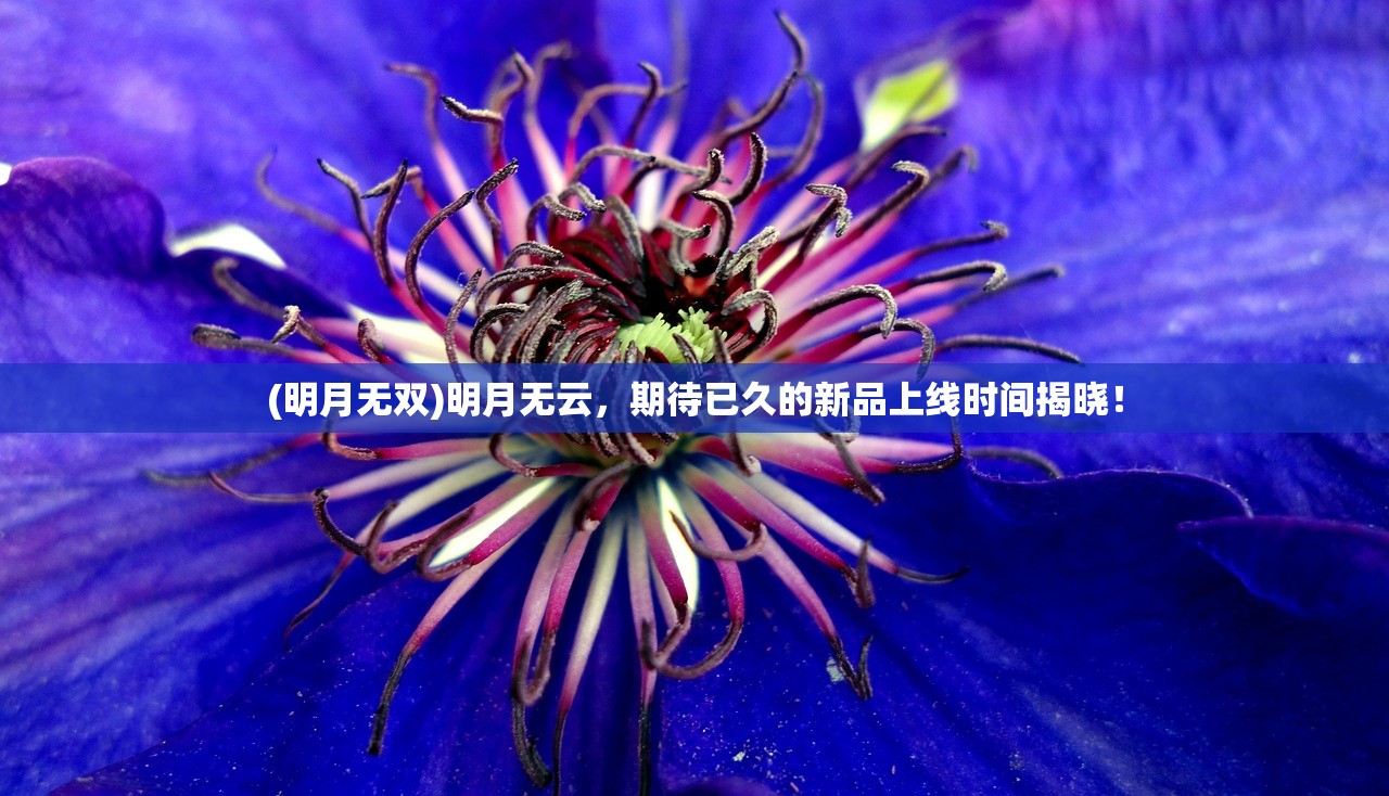 (迪丽热巴告了黑粉)迪丽热巴遭遇侵权风波，黑粉道歉背后的故事