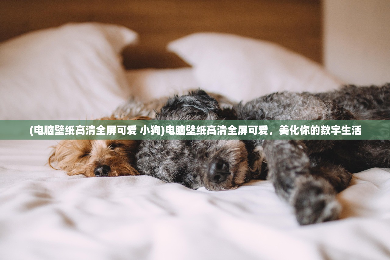 (电脑壁纸高清全屏可爱 小狗)电脑壁纸高清全屏可爱，美化你的数字生活